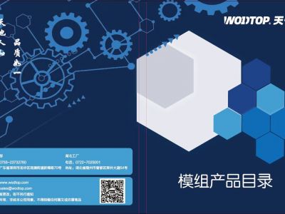 模组资料2025版